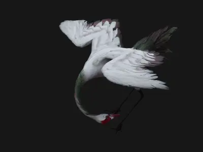 Crane Bird A3 3D model