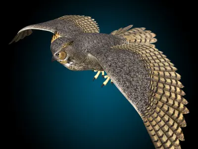 Great Horned Owl - Flight 3D model