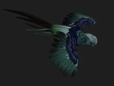 Pheasant A5 3D model