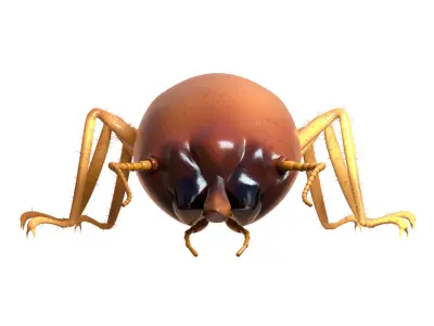 Termite - Soldier Low-poly 3D model