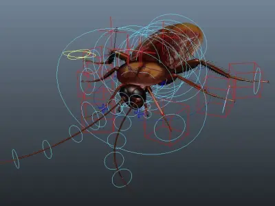 cockroach 3d maya rigged 3D model