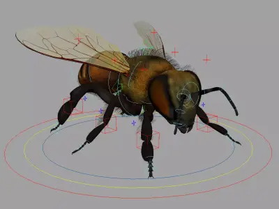 Bee Rig 3D model
