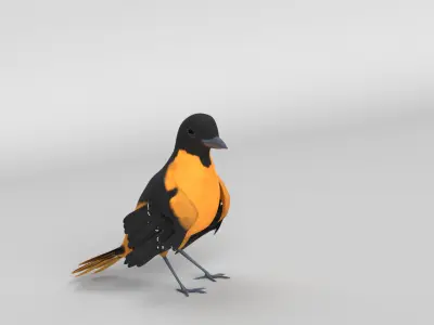 Animated Balitmore Oriole Bird 3D model