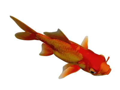 Goldfish 3D ModelLow Pol PBR TexturedGame Ready Low-poly 3D model