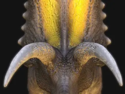 Pentaceratops Low-poly 3D model