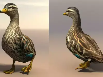 Duck Female Low-poly 3D model