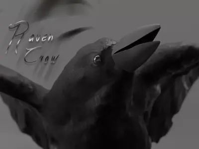 Photorealistic Raven Crow Low-poly 3D model