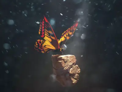 Butterfly on rock 3D model