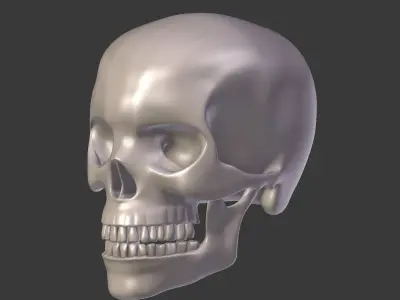 Skull Low-poly 3D model