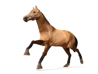 Horse 3D Model galloping Low-poly 3D model