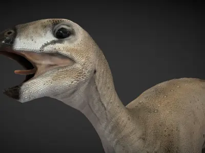 Hypsilophodon Foxii Low-poly 3D model