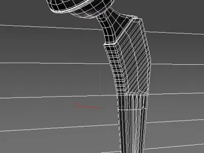 Femoral Prosthesis 3D model