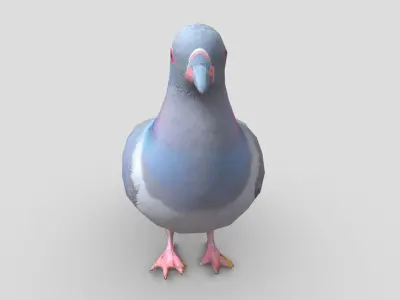 Standing Bird Pigeon Low-poly 3D model