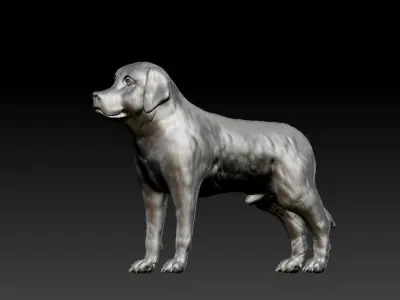 CUTE DOG 3D Printed Model Free 3D print model