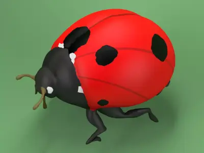 Ladybug Coccinellidae LOWPOLY Low-poly 3D model