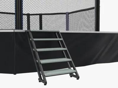 Fighting Octagon Arena 3D Model purchase