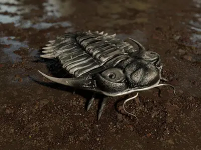 Trilobite 04 - KAYSEROPS Low-poly 3D model