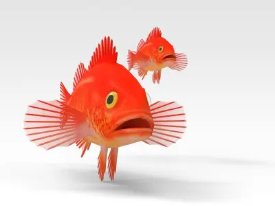 GoldFish orange fish 3D model