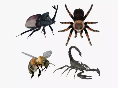Insects Pack 2 3D model