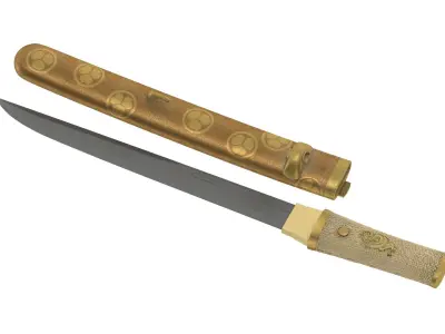 Tanto Short Sword 3D model