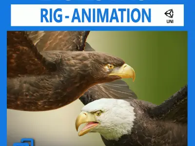 Bald and Golden Eagles v3 - Unity Low-poly 3D model