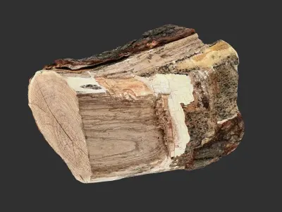 A peeling piece of wood 3d scan in highpoly 3D model