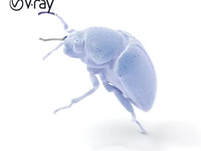 Iridescent Beetle Model Pack Low-poly 3D model