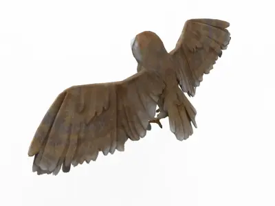 Owl bird 3D model
