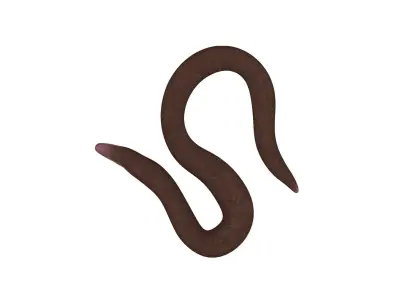 Blind snake Low-poly 3D model