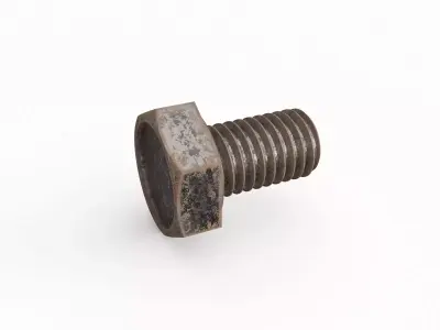 Screw 160 3D model