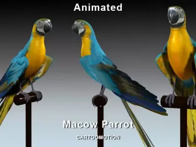 Blue Macaw Parrot Low-poly 3D model