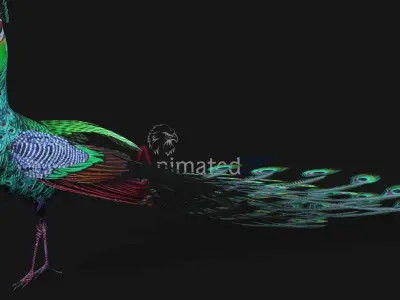 Peacock A3 3D model