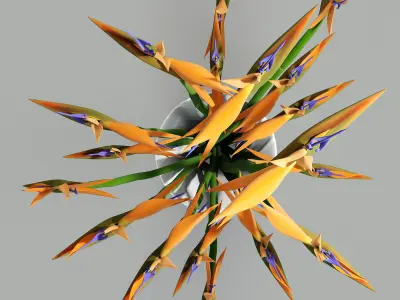 Strelitzia birds of paradise in vase 3D model