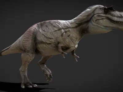 Albertosaurus The Swift Tyrant of the North Low-poly 3D model