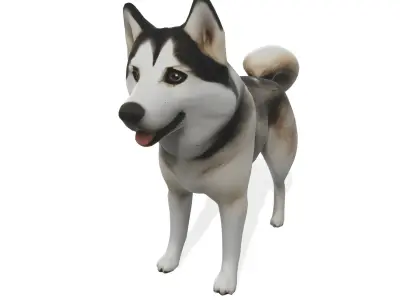 Loyal Stylized Siberian Husky 3D model