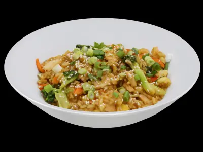 TERIYAKI CHICKEN RICE BOWL Low-poly 3D model