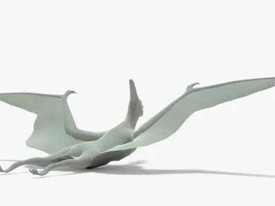 Pteranodon Rigged Basemesh Low-poly 3D model