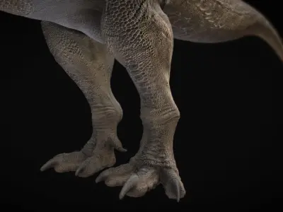 Torvosaurus Low-poly 3D model