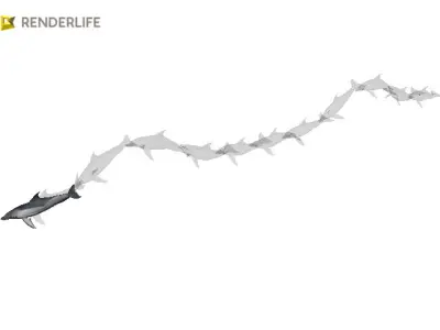 Dolphin with animation 3D model