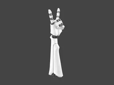 Robot Hand 6 3D model