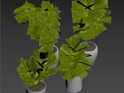 Plant Collection Rpm 06 3D model