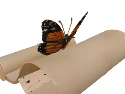Butterfly on Old Scroll 3D Model Low-poly 3D model