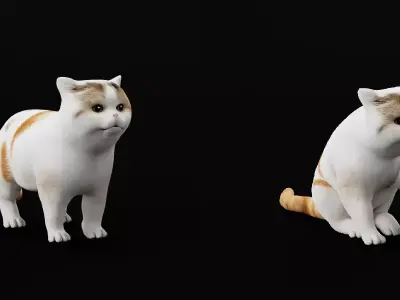 Exotic ShortHair Cat Free 3D model