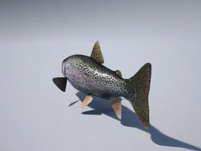 trout 3ds max vray 3D model