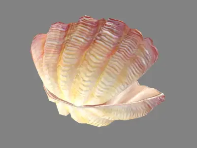 Pearls and shells - mussels Low-poly 3D model