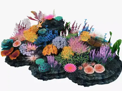 Coral corals and plants on rock 3D model