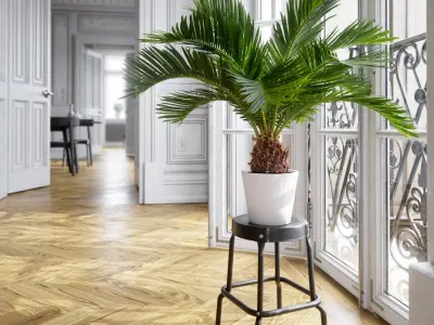  Sago Palm Potted Plant Model 