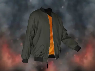Bomber Jacket 3D model