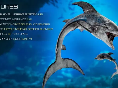 Dolphin and Remora - Realistic Animated Marine Monster - 62 Low-poly 3D model