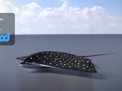 Spotted Eagle Ray 3D model